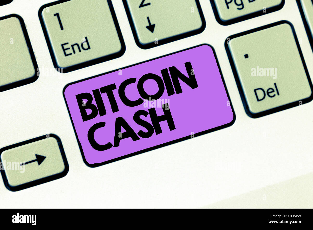 Having Bitcoin Text Text sign showing Bitcoin Cash. Conceptual photo Type of cryptocurrency ...