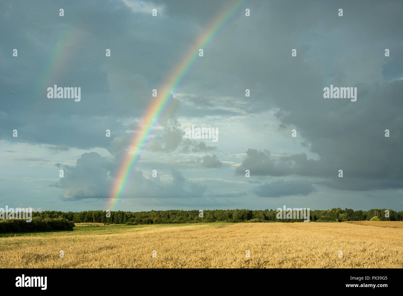 Colorful rainbow on cloudy sky over field and forest Stock Photo - Alamy