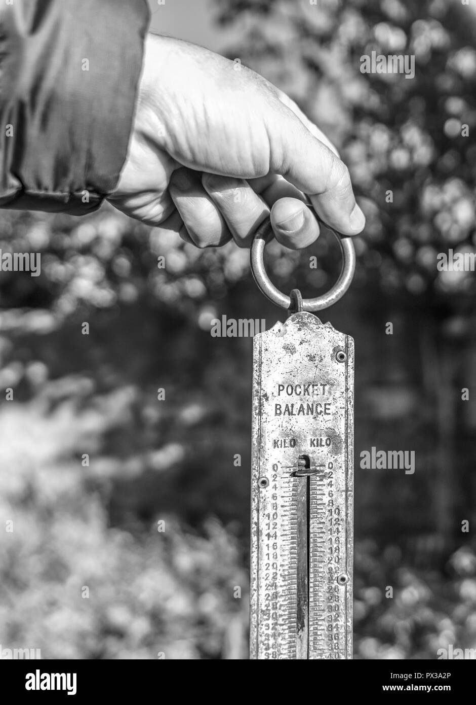 Hand holding retro pocket spring balance in a farm or field in black and white Stock Photo