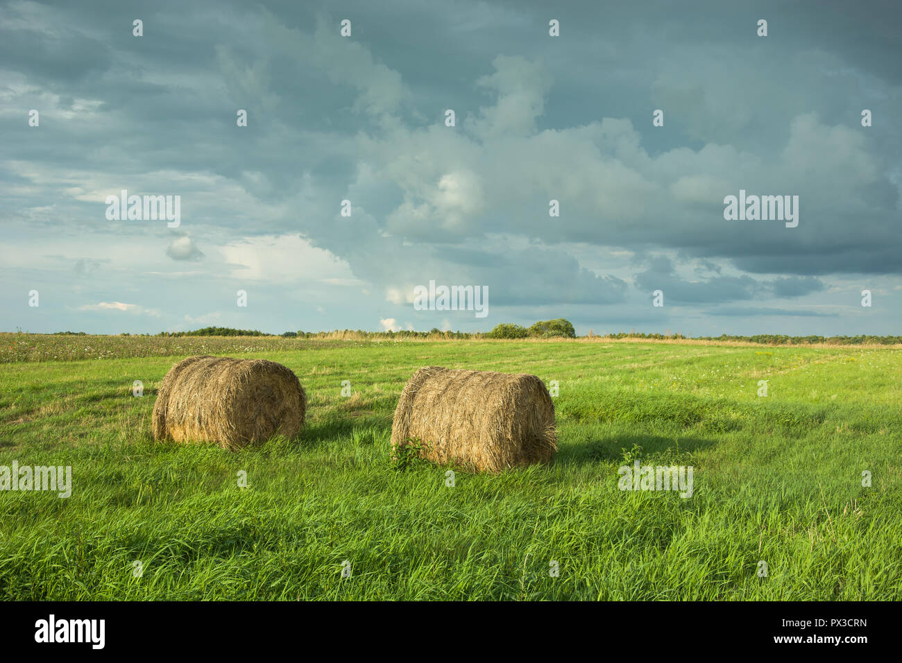 Two haystacks on a green meadow and clouds in the sky Stock Photo