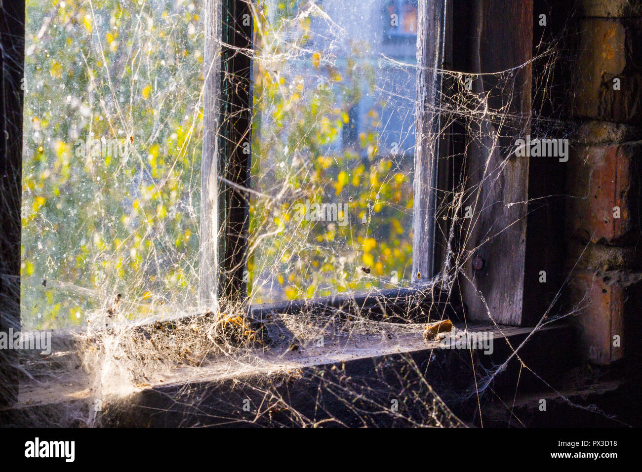 old window and cobweb Stock Photo