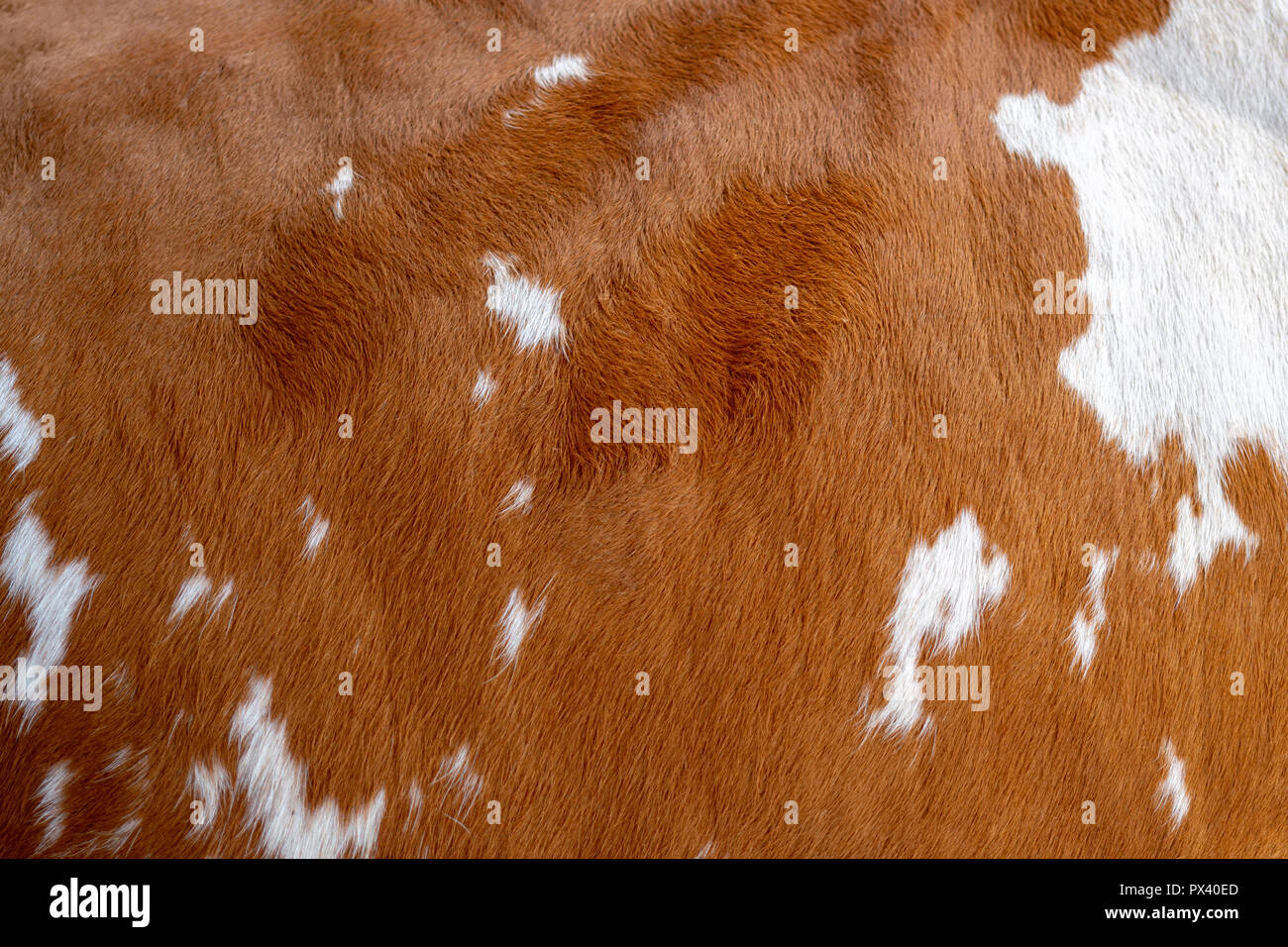 White & Brown Cow Print Suede Fabric, Hobby Lobby