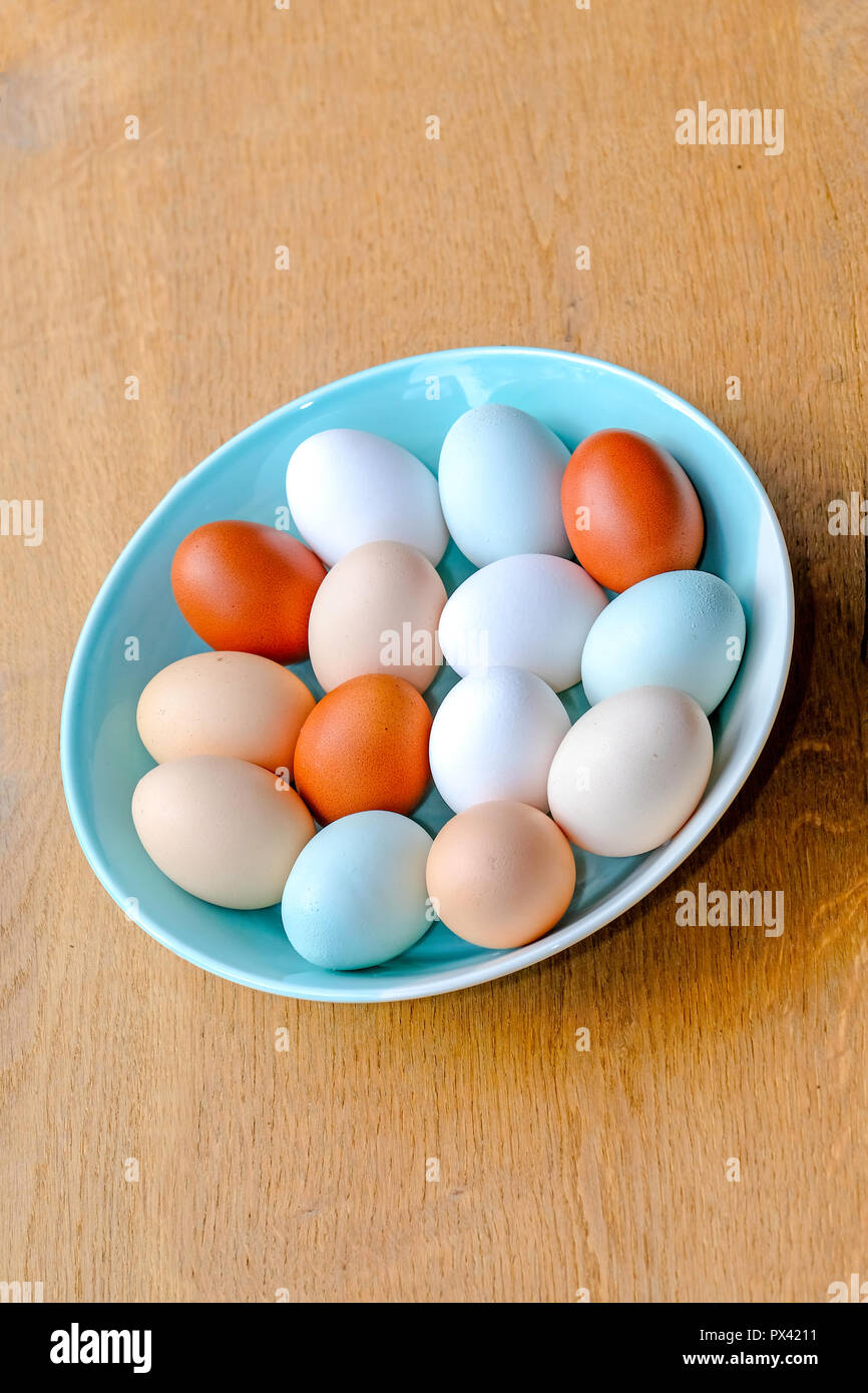 a bowl of multicolour chicken eggs Stock Photo