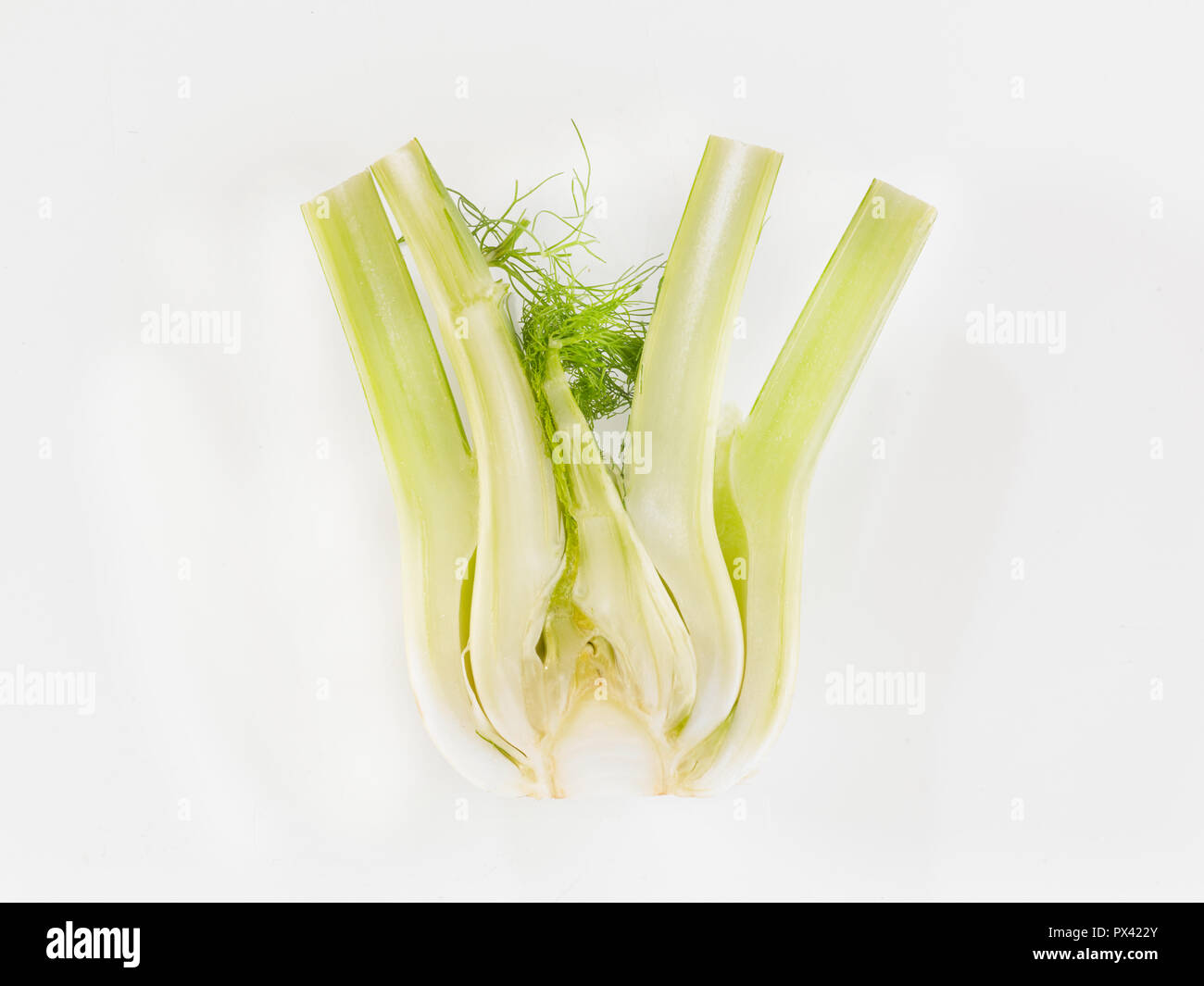 half a sliced fennel bulb on a white background Stock Photo Alamy