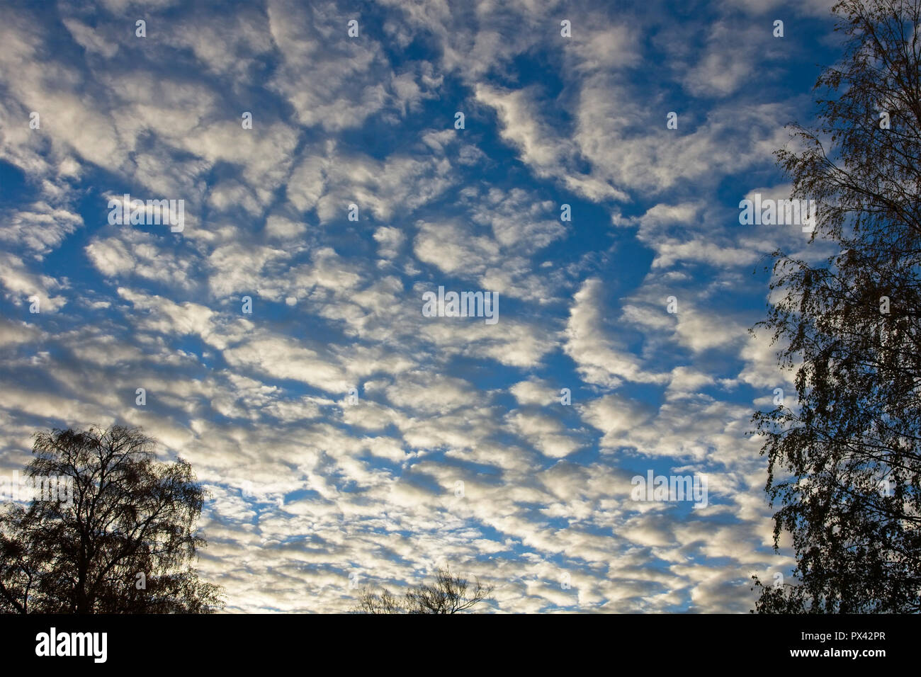 stratocumulus clouds during sunrise, Finland Stock Photo