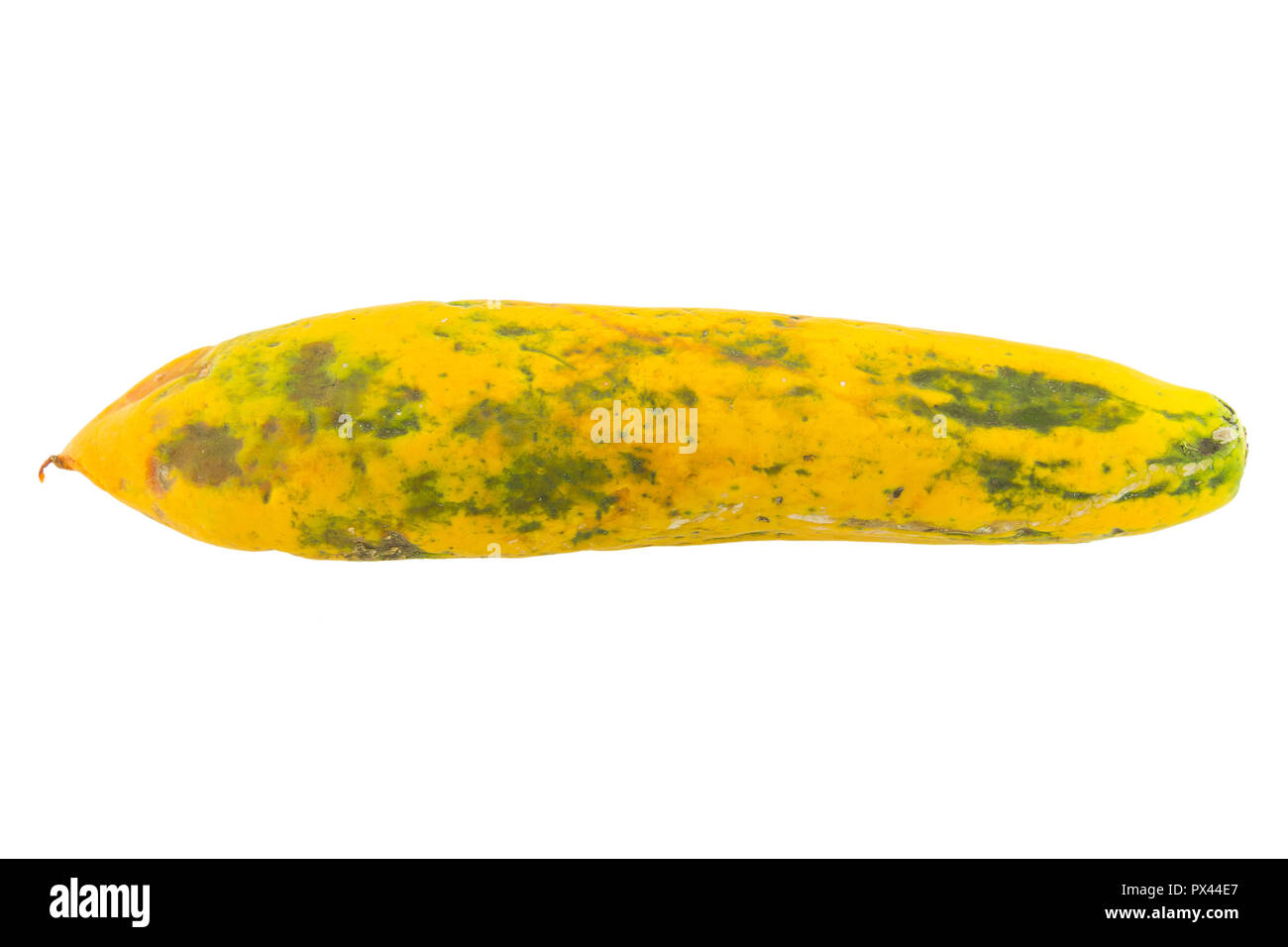 rotten papaya on white isolate background Stock Photo