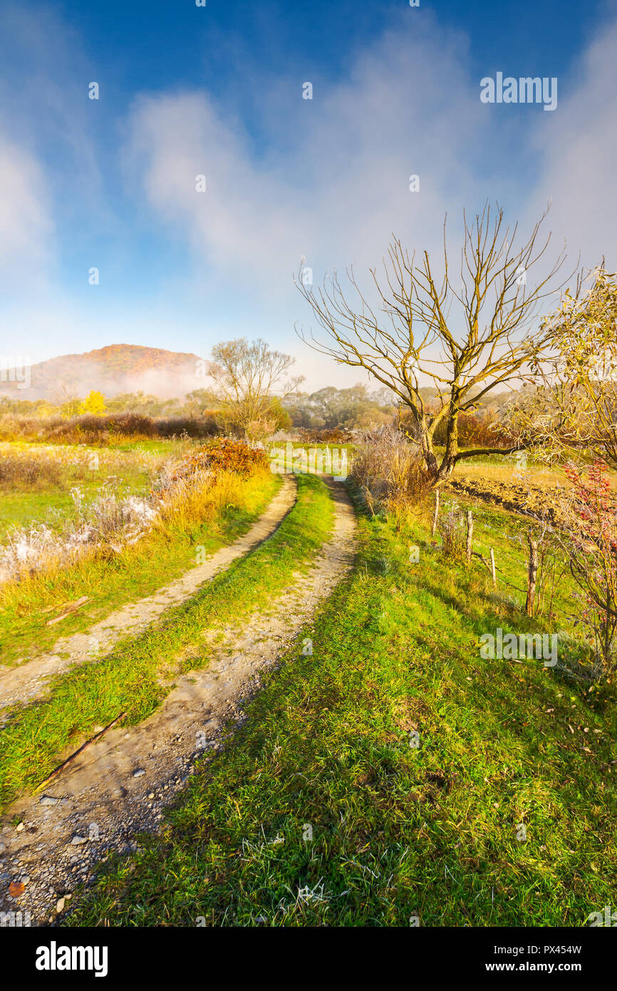 Morning scenery hi-res stock photography and images - Alamy