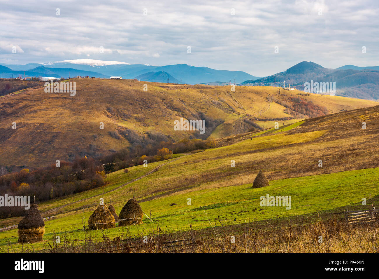 haystacks on the rural fields. lovely countryside scenery in mountains. distant mountain with snowy top under the overcast november sky Stock Photo