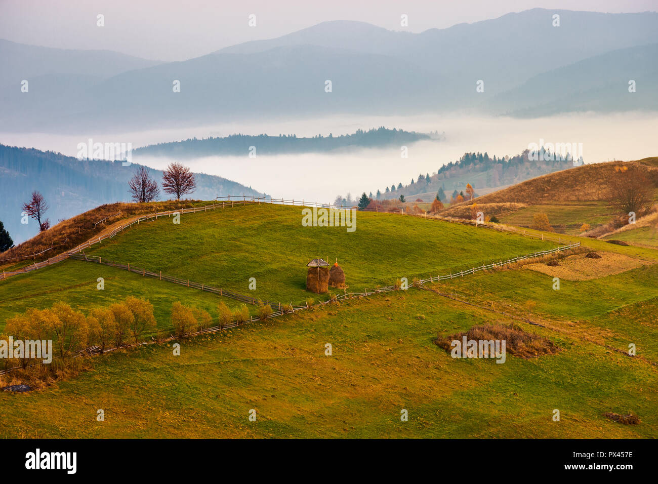 Carpathian rural area in autumn at dawn. leafless trees by the road. haystacks on the grassy meadow. fog in the distant valley behind the hill. gorgeo Stock Photo