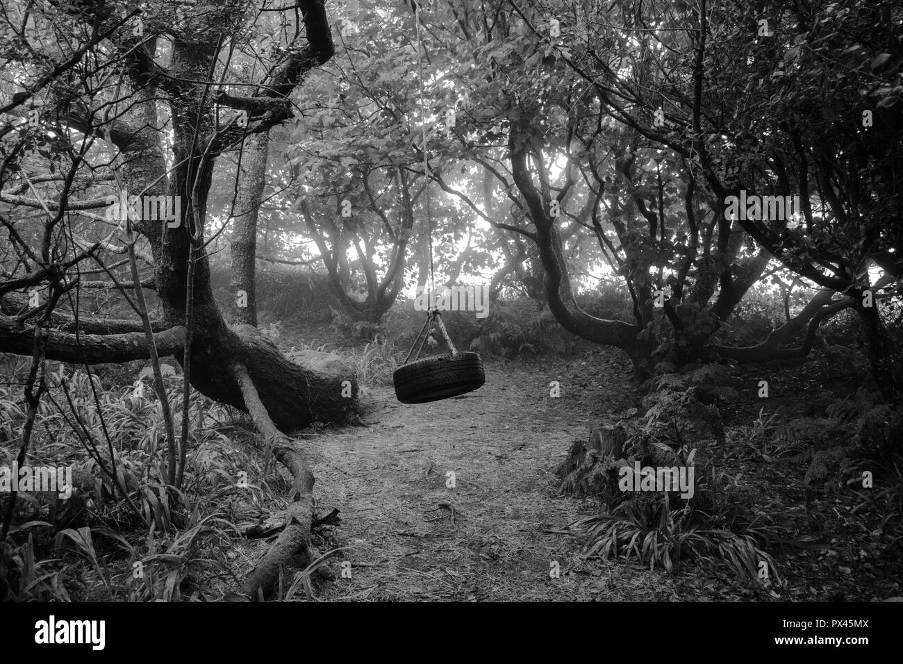 Rope Swing/Tyre Swing Stock Photo Alamy