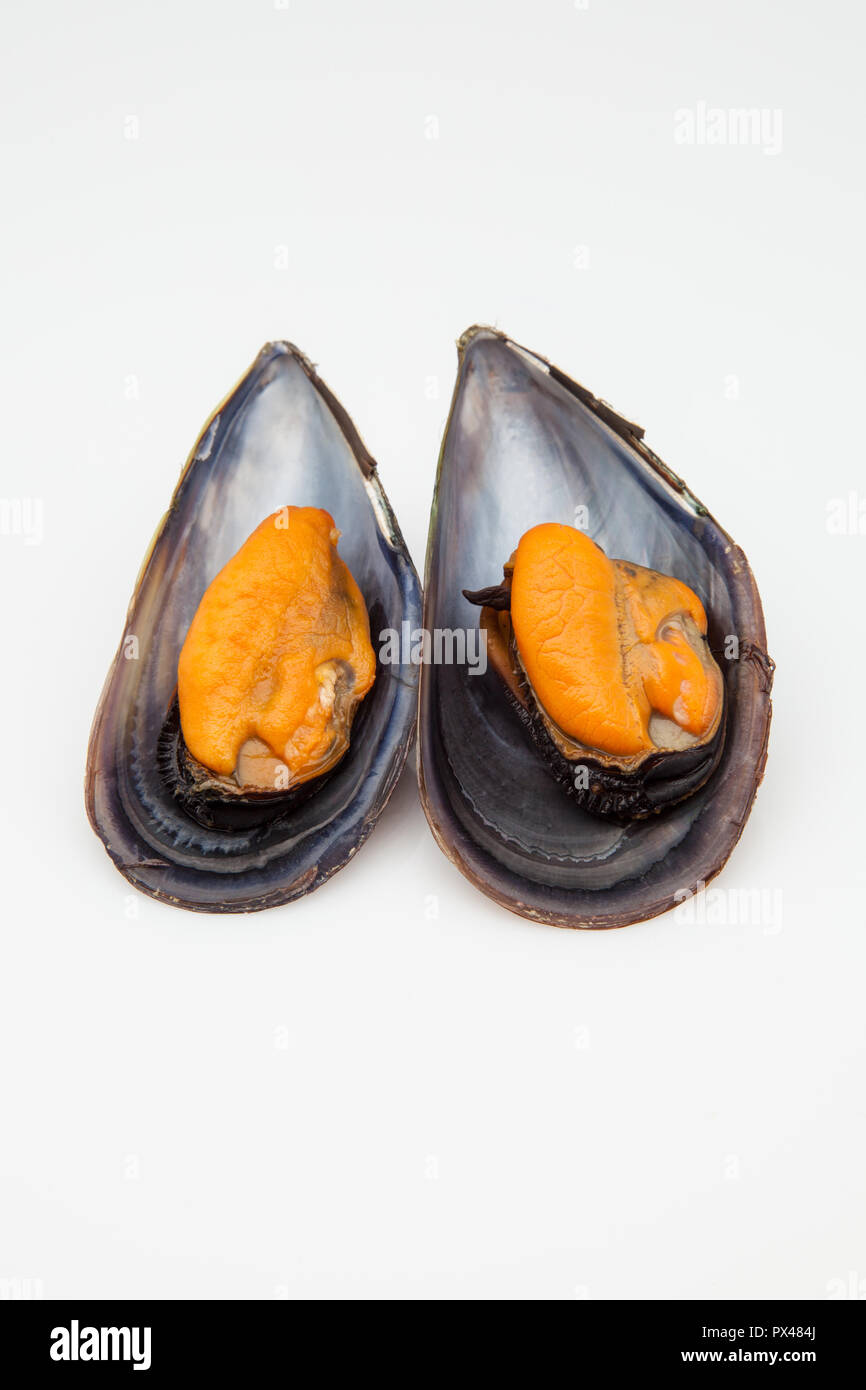 two mussels cooked ready to eat Stock Photo - Alamy
