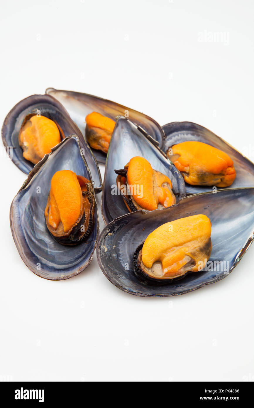 mussels cooked ready to eat Stock Photo Alamy