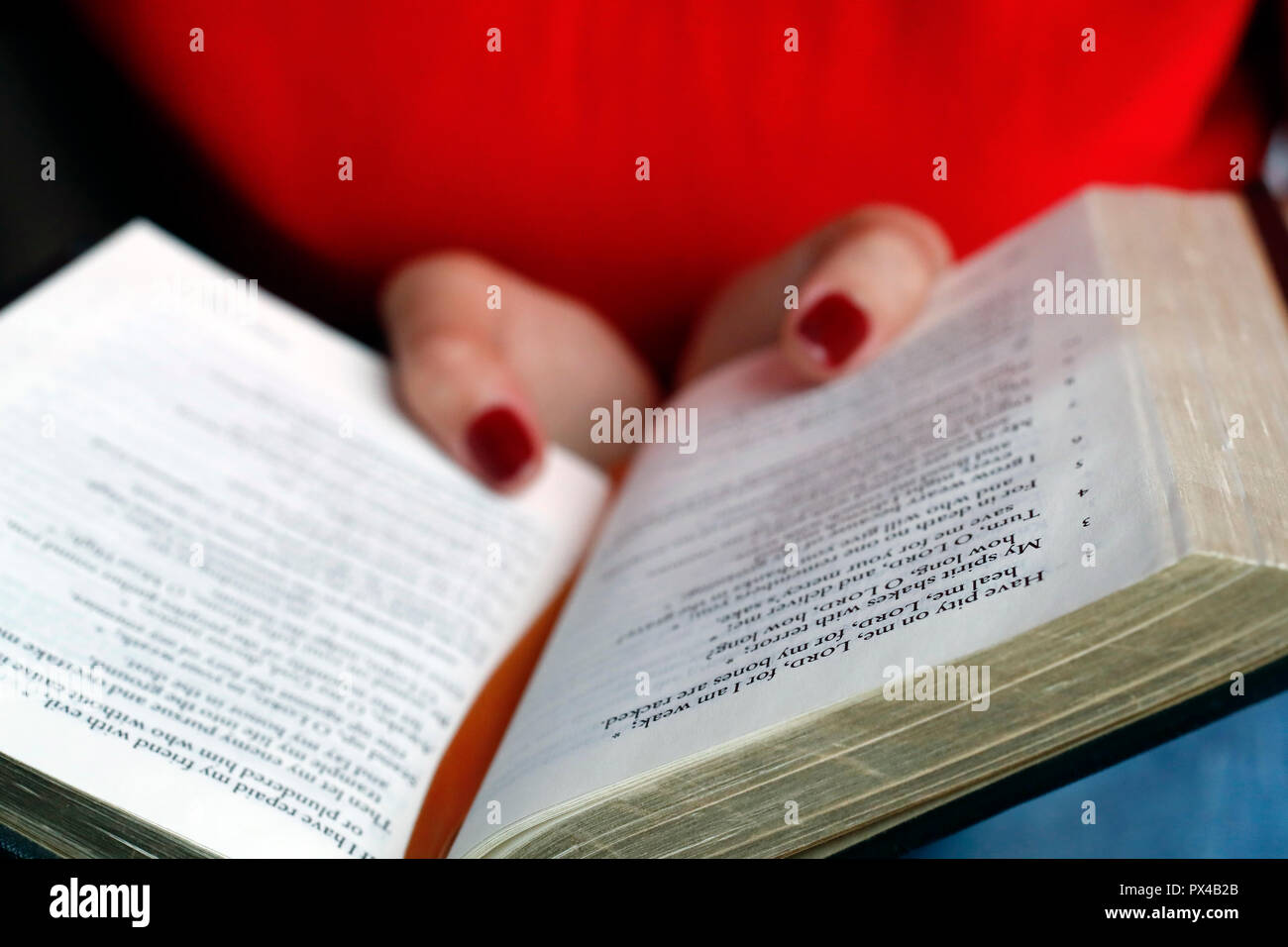 Christian woman reading the bible. Close-up. Stock Photo