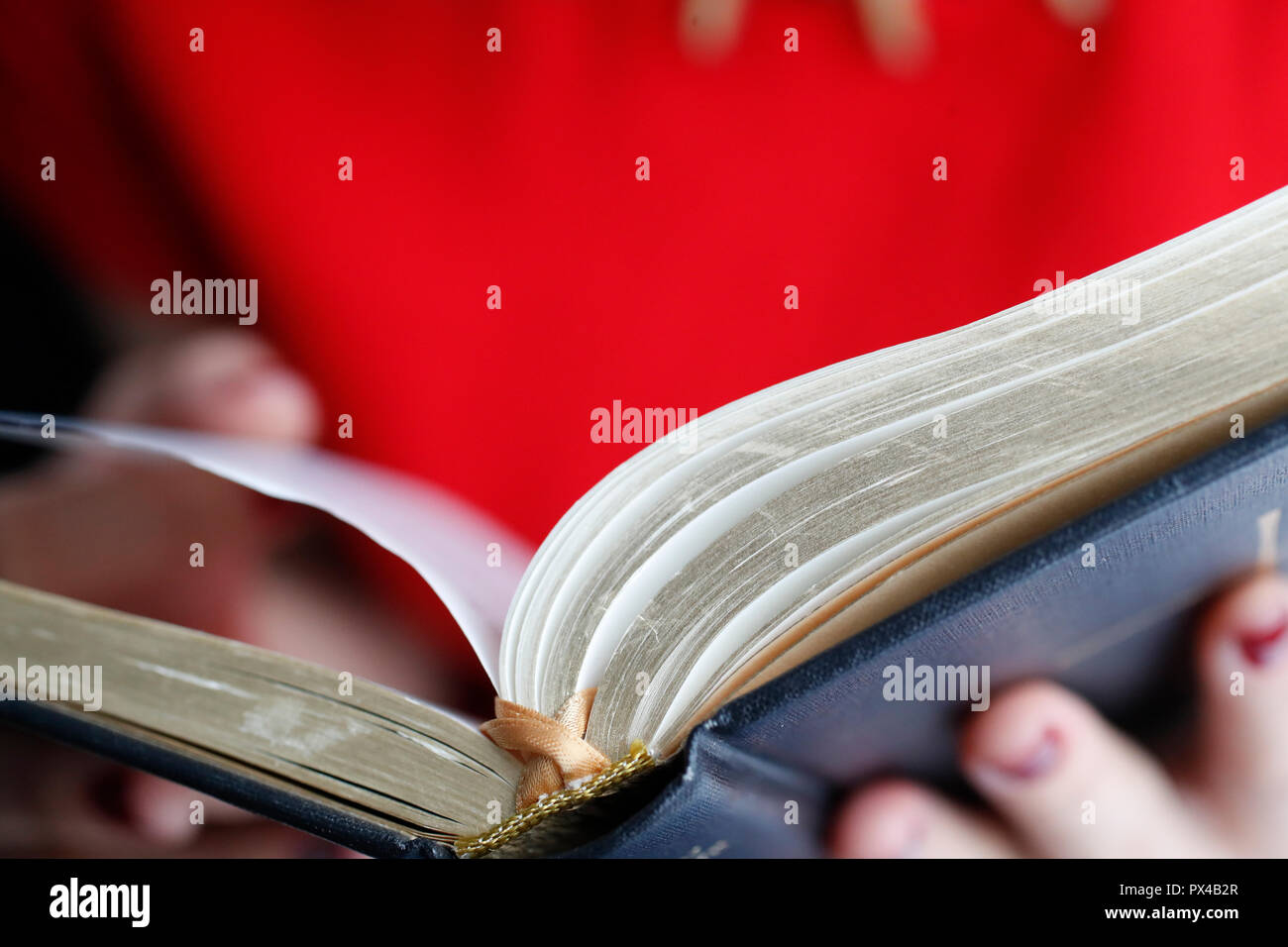 Christian woman reading the bible. Close-up. Stock Photo