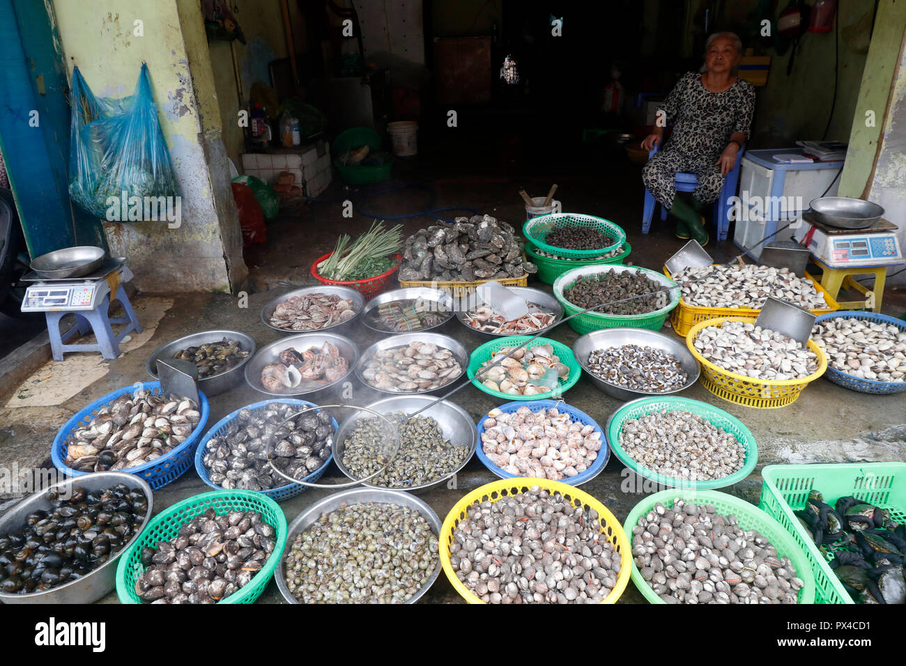 Seafood market. Seashells.  Ho Chi Minh City. Vietnam. Stock Photo