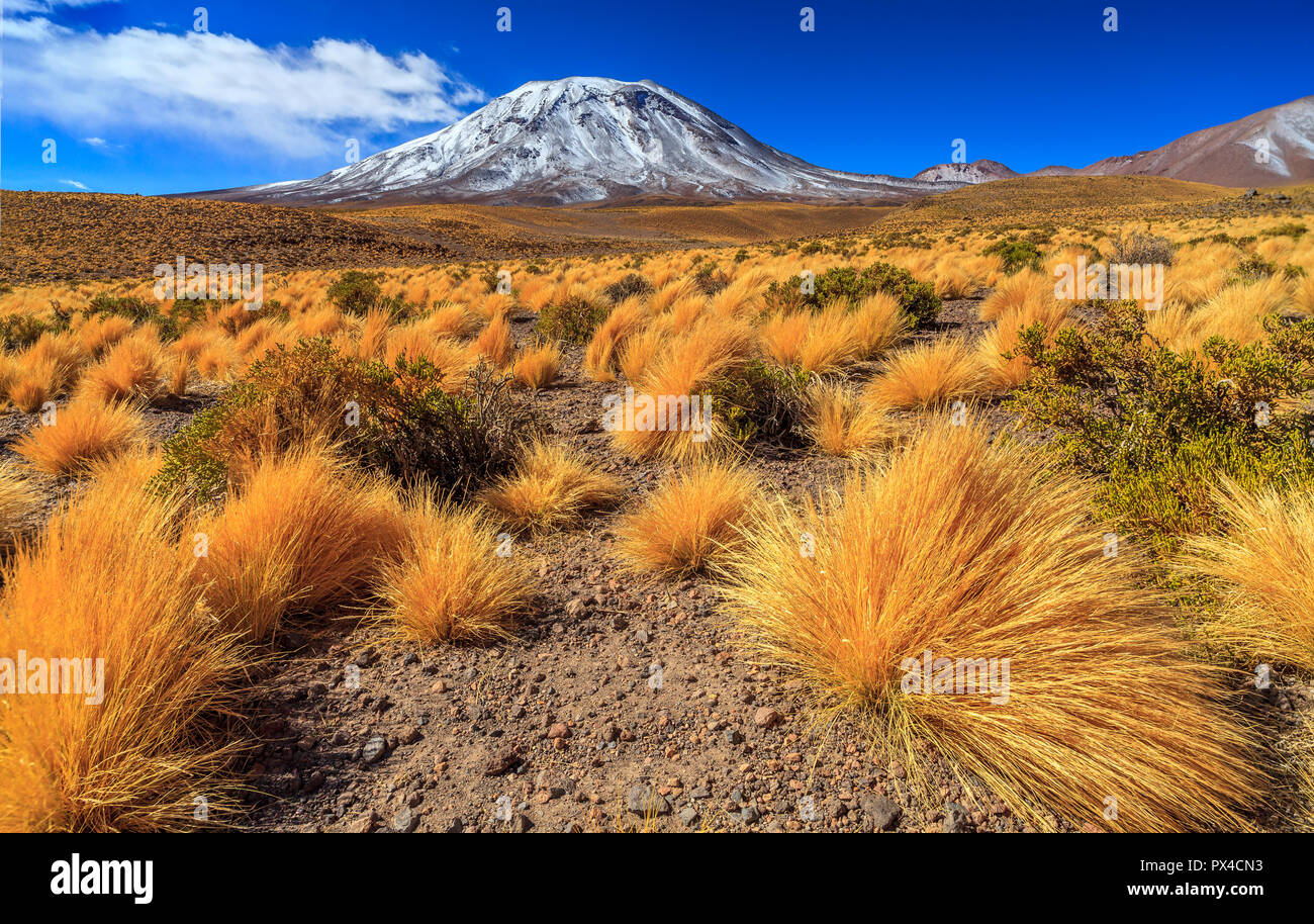 Volcano Lascar Stock Photo