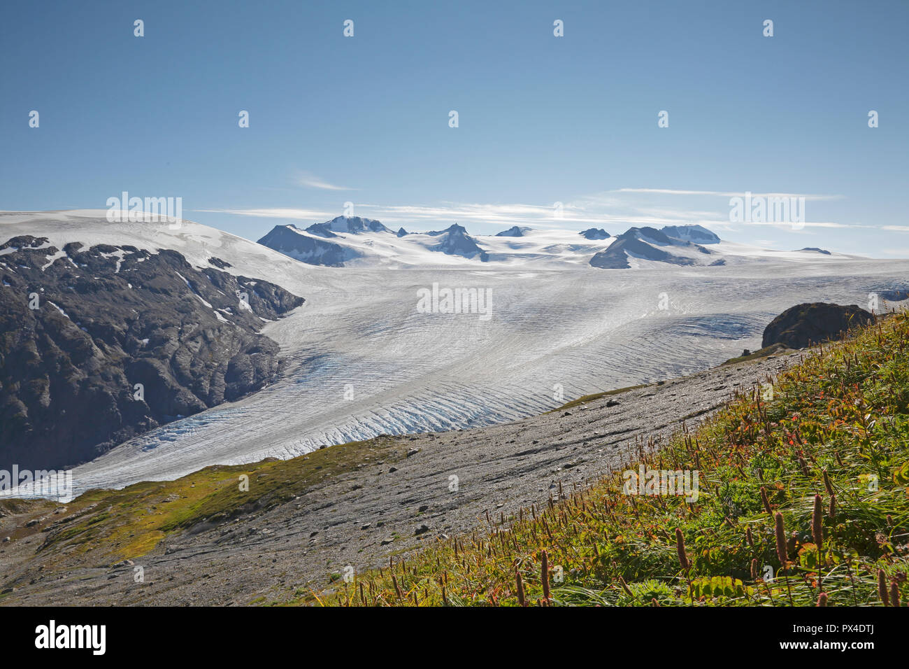 View of the Harding Ice Field from the Trail Seward Alaska Stock Photo