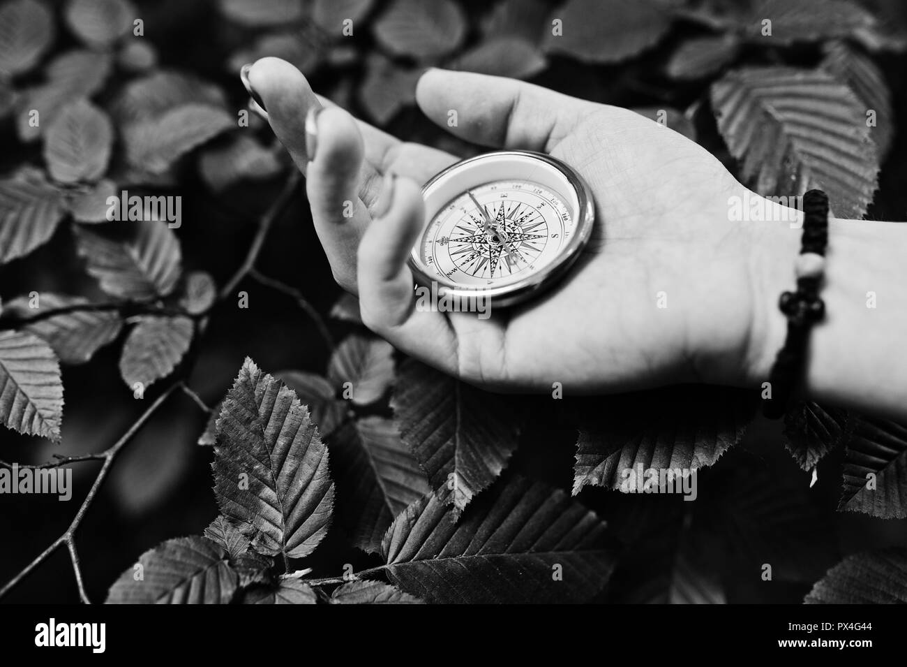 Close-up photo of female hands with compass next to a tree branch Stock ...