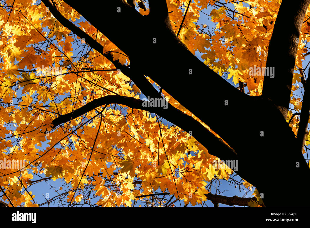 Beauty nice weather hi-res stock photography and images - Alamy