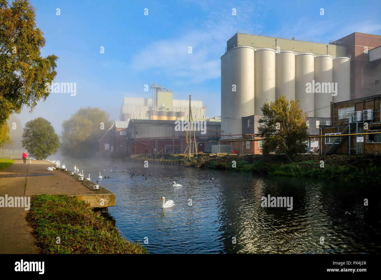 A misty October morning by the River Nene in Wellingborough,Northants Stock Photo