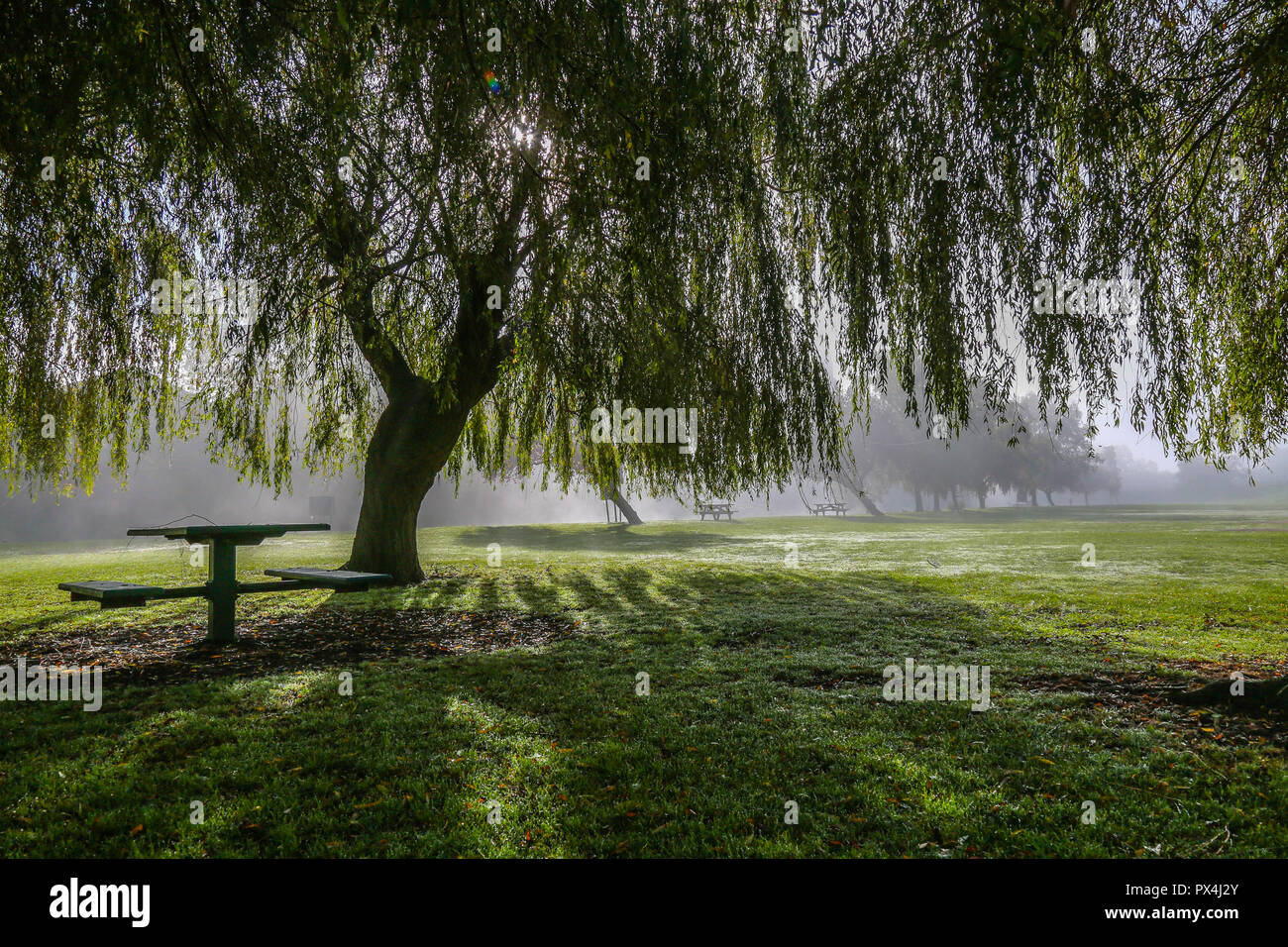 A misty October morning by the River Nene in Wellingborough,Northants Stock Photo