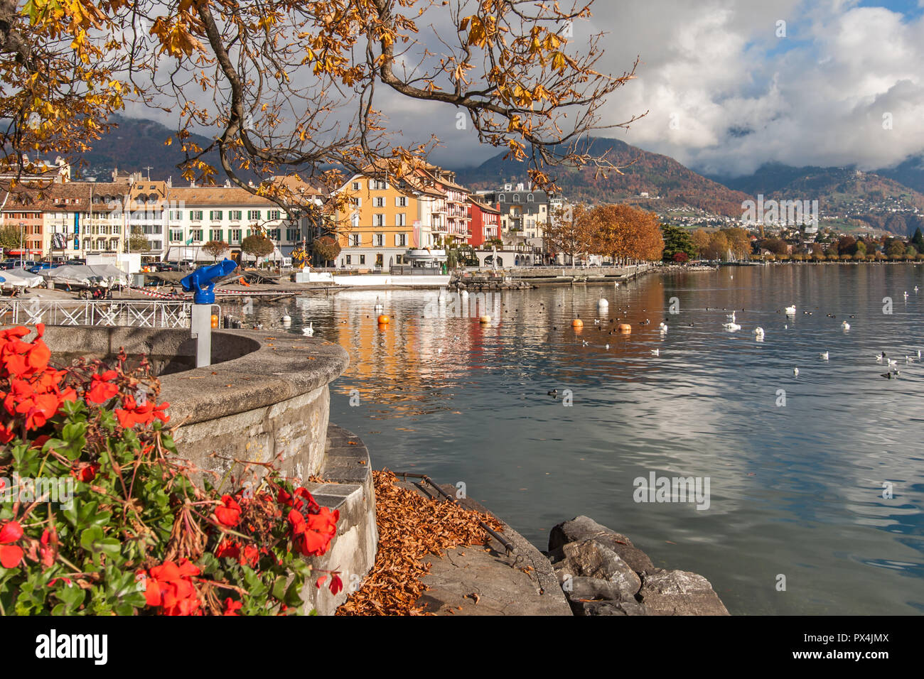 Flowers and Panorama of Vevey and Lake Geneva, Switzerland Stock Photo