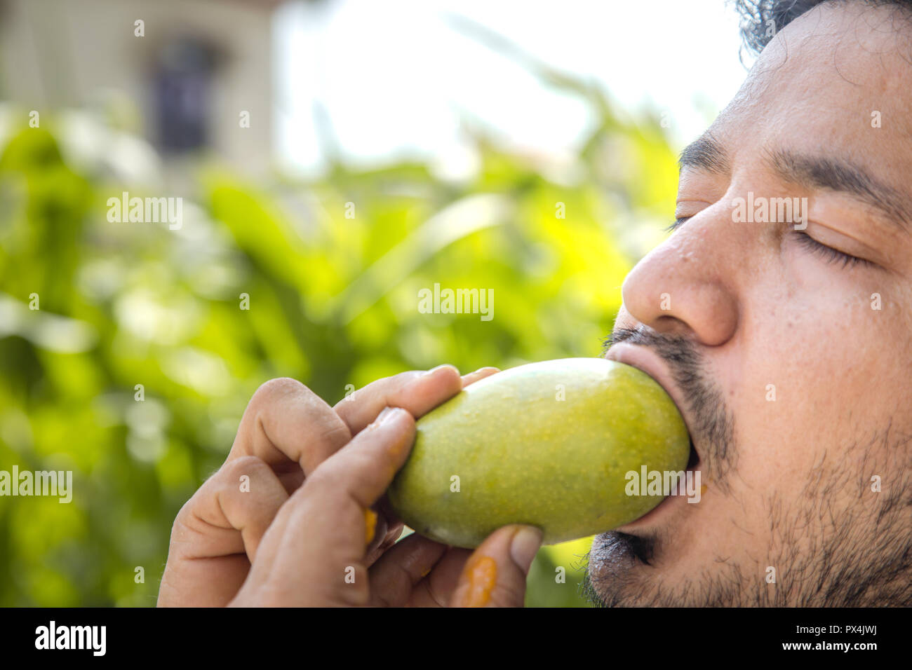 Indian man eating mango Stock Photo - Alamy