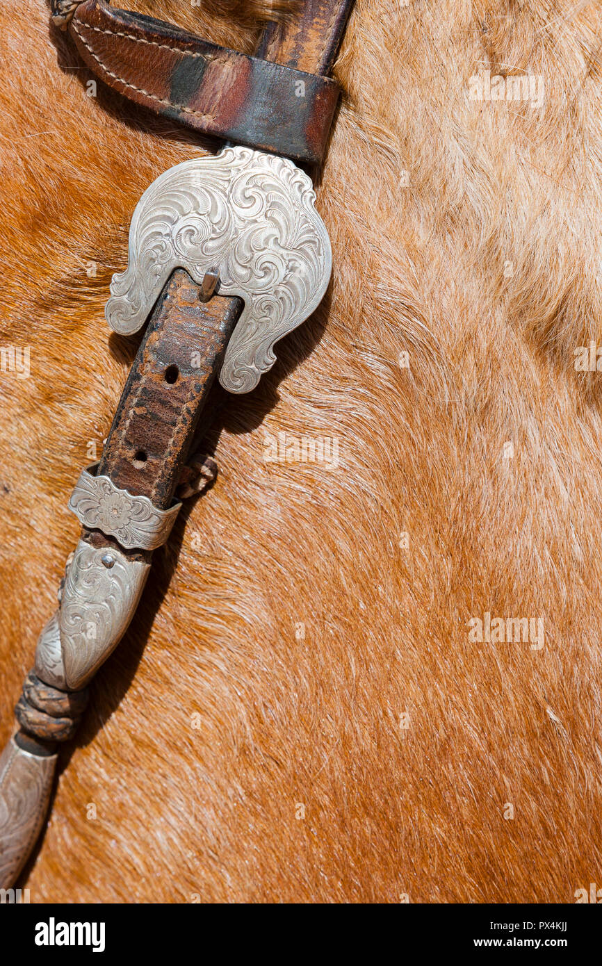 Arizona, USA. Detail view of ironwork on horse's bridle. Stock Photo