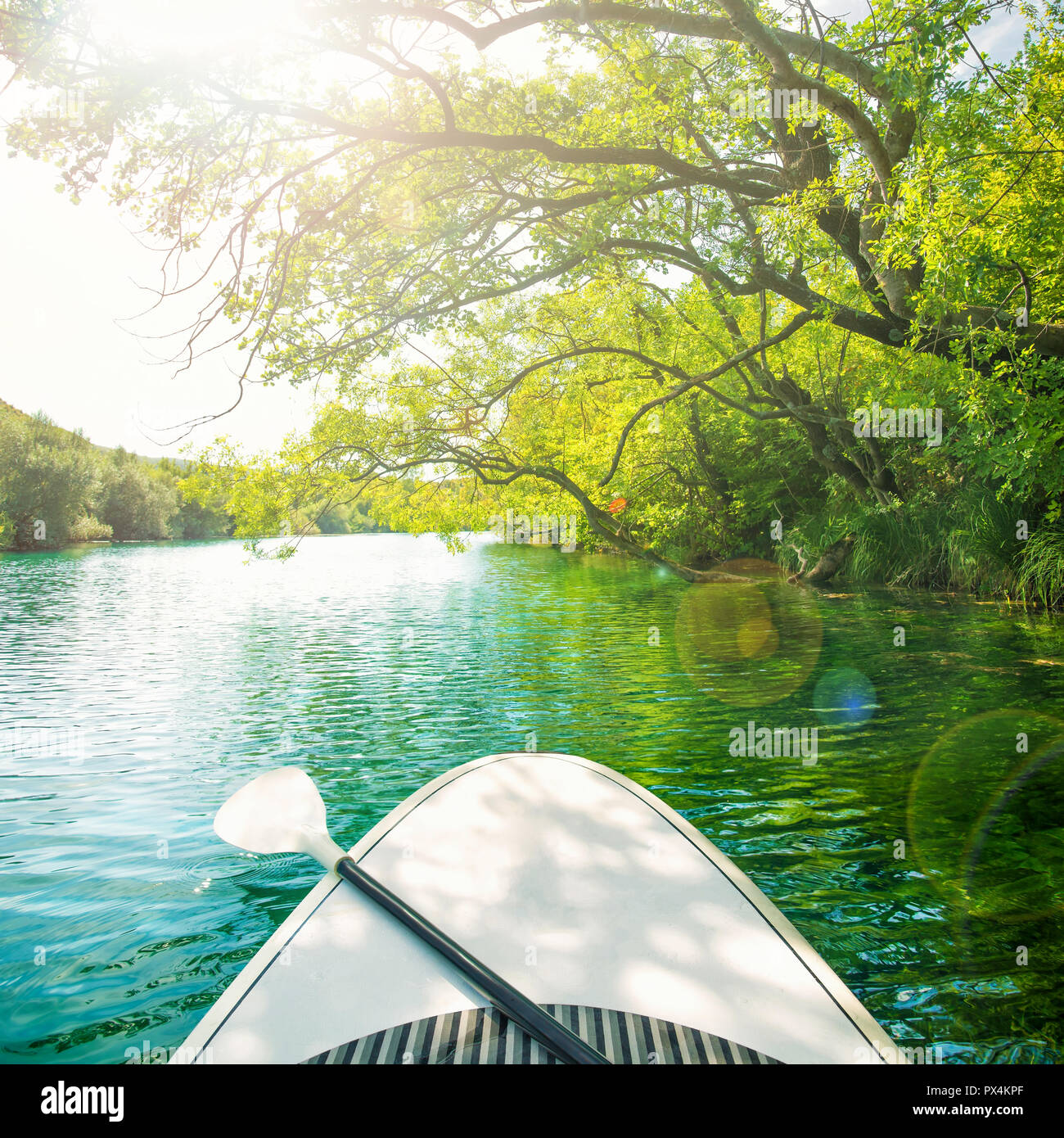 white paddle board with oar floating along clear waters of Zrmanja river surrounded by trees and greenery on sunny summer day, Zadar, Dalmatia, Croati Stock Photo