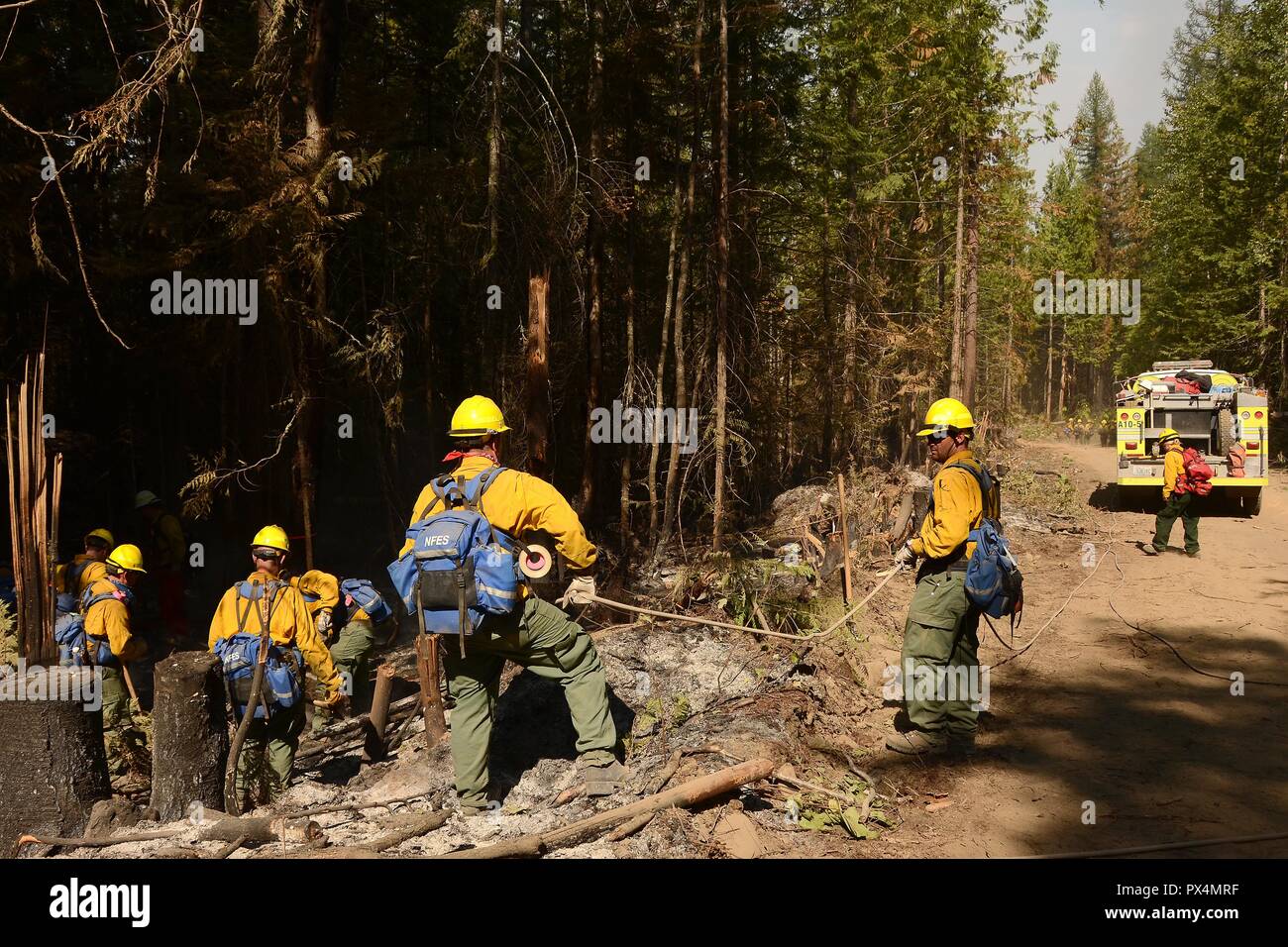 Airmen from the Washington Air National Guard work as a team to pull a long hose from an an emergency support vehicle (visible at right background) toward a forested area while fighting the Sheep Creek Fire, located in the Sheep Creek area near Northport, Washington, USA, image courtesy Technical sergeant Timothy Chacon and the Joint Forces Headquarters, Washington National Guard, August 6, 2018. () Stock Photo