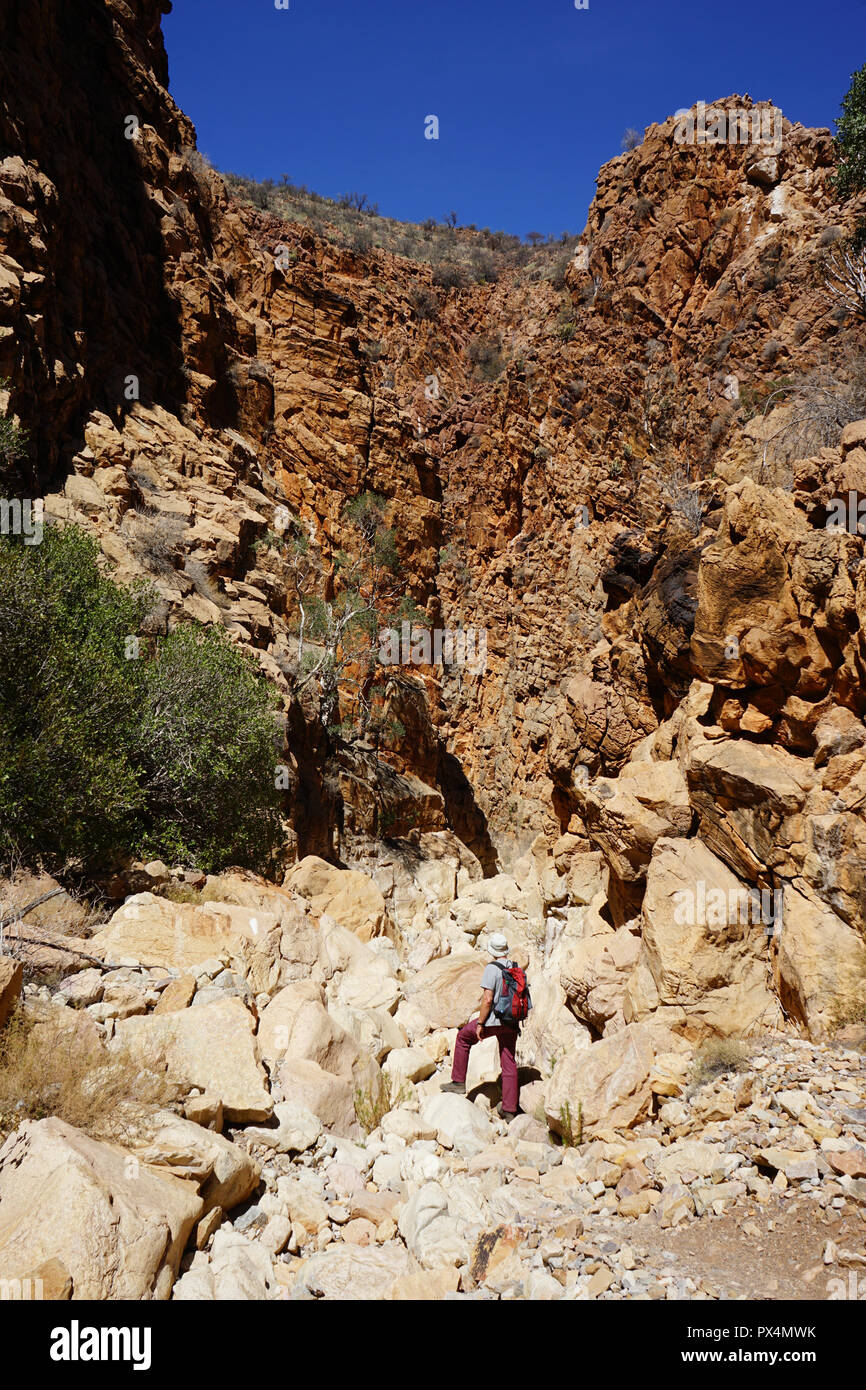 Wanderer in einer Schlucht, OliveTrail, Naukluft Gebirge, Namib-Naukluft Park, Namibia, Afrika Stock Photo