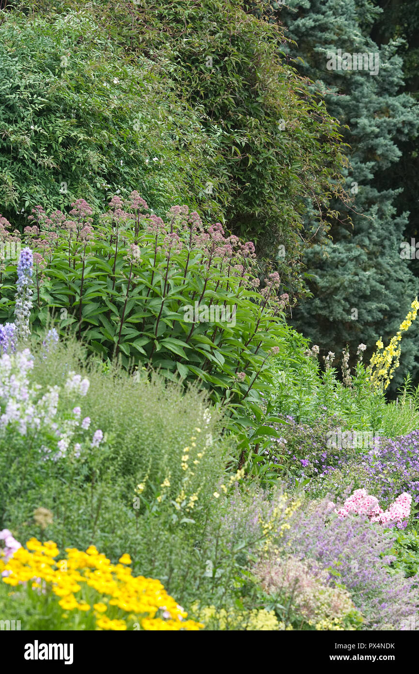 Coloured garden borders hi-res stock photography and images - Alamy