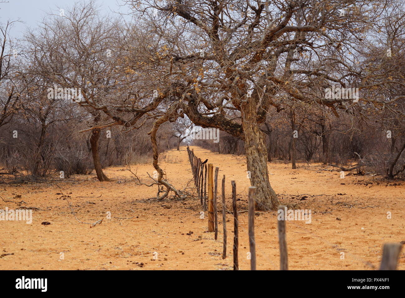 Namibia, Afrika Stock Photo