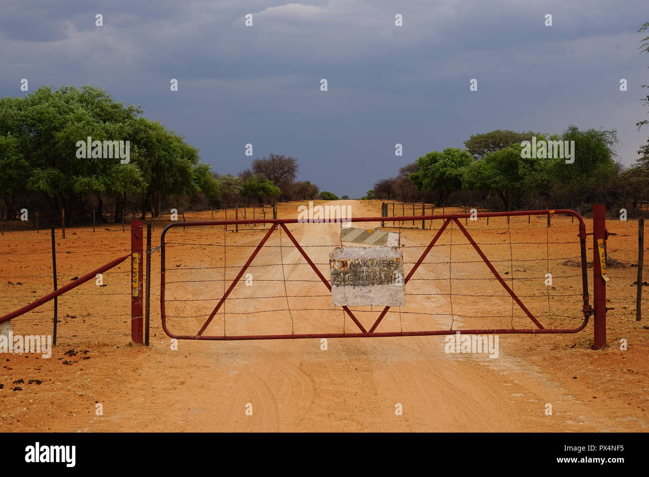 Tiergatter, Straße D2512, Regenwolken, Republik Namibia, Afrika Stock Photo