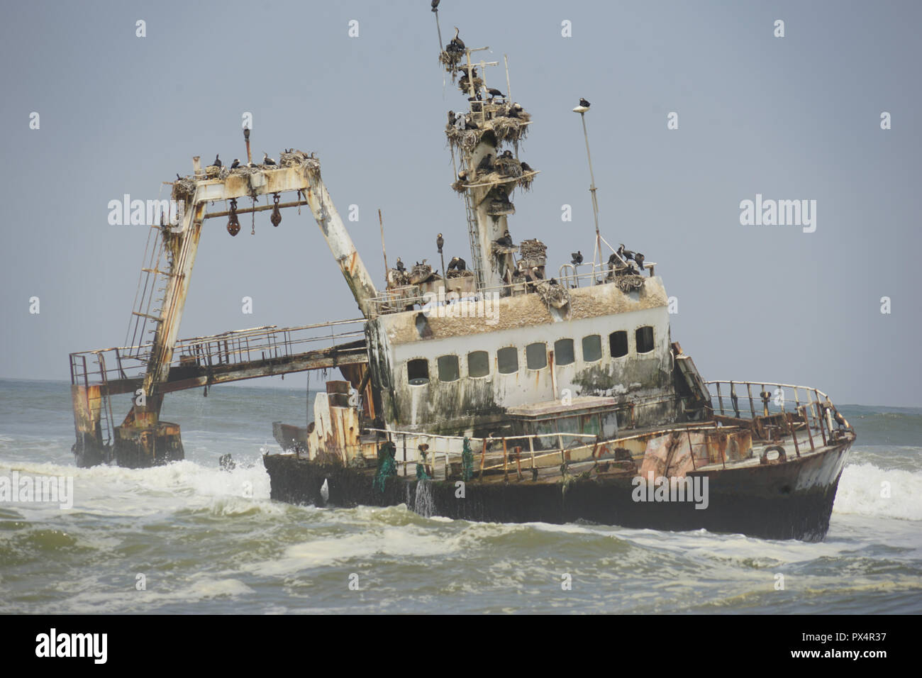 Gestrandeter Fischtrawler 'Zeila' bei Henties Bay, Skelettküste, Nester des Weißbrustkormoran  Dorob National Park, Atlantischer Ozean, Namibia Stock Photo