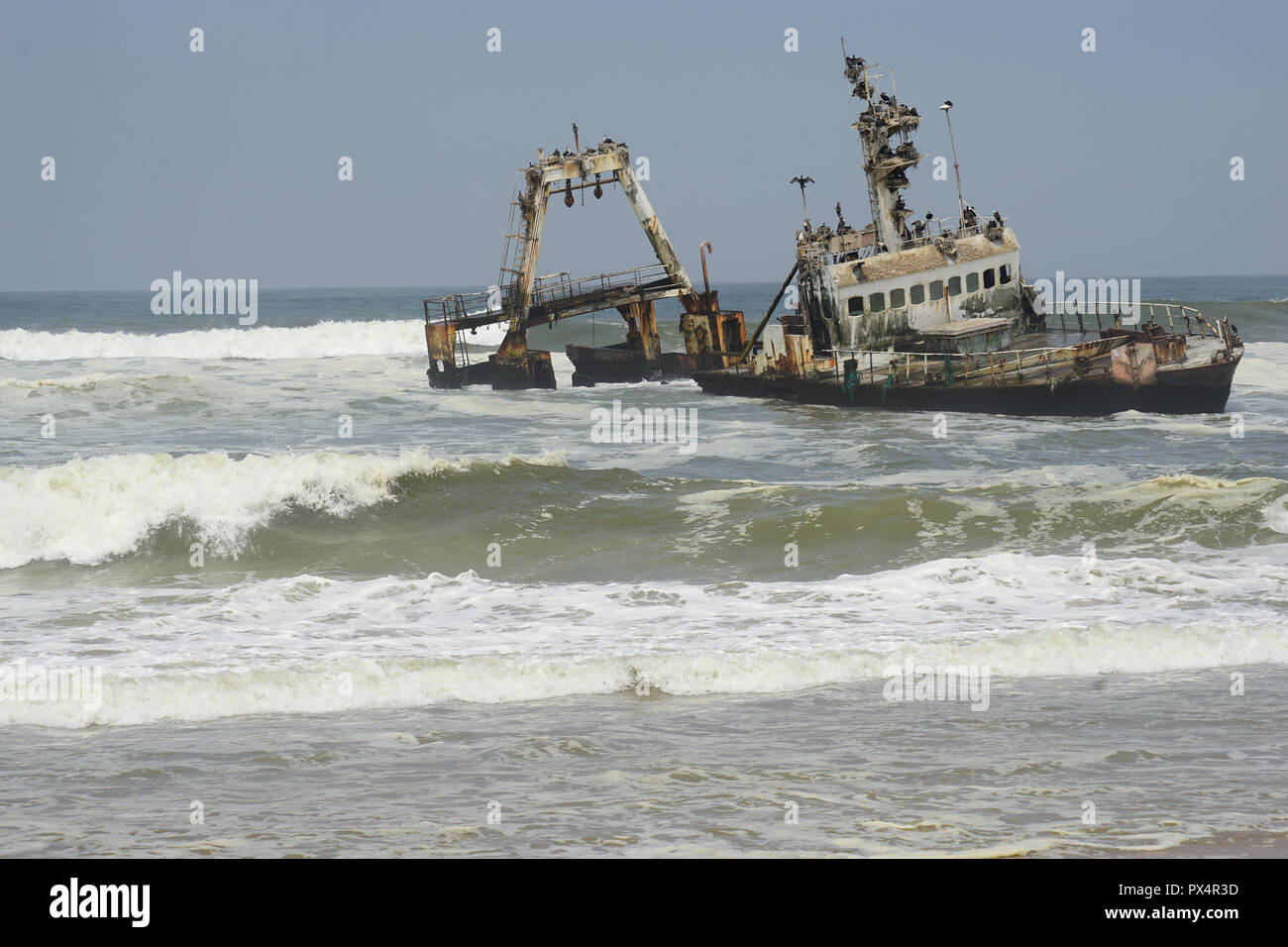 Gestrandeter Fischtrawler 'Zeila' bei Henties Bay, Skelettküste, Nester des Weißbrustkormoran  Dorob National Park, Atlantischer Ozean, Namibia Stock Photo