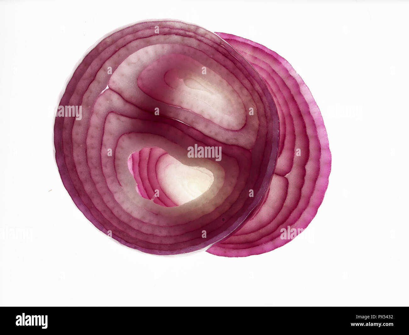 Red onion abstract food photograph Stock Photo