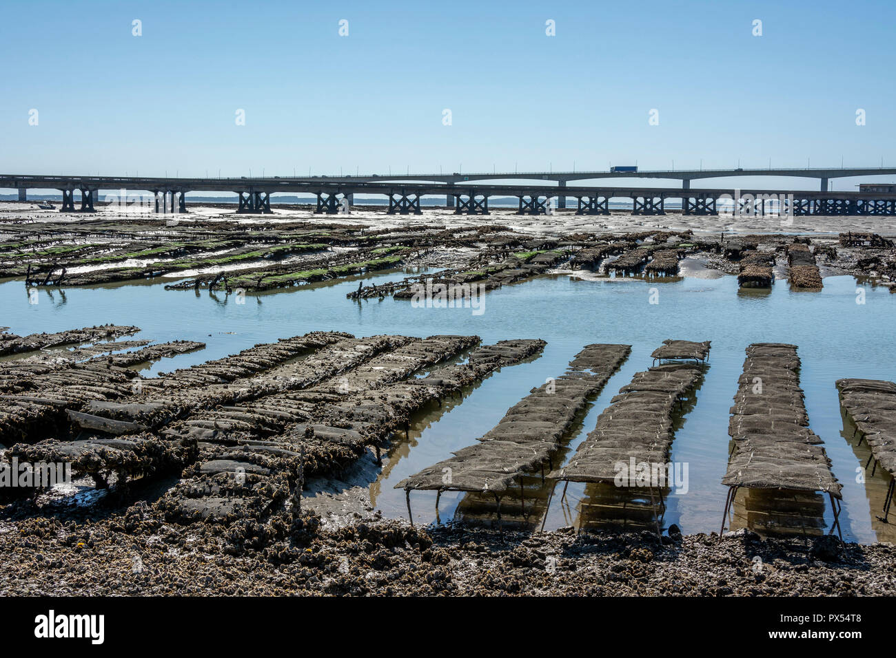 Oyster beds and Oleron bridge, Charente Maritime, Nouvelle-Aquitaine, France Stock Photo