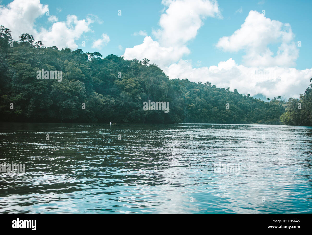 Dense jungle surrounding the green water of Rio Dulce in East Guatemala Stock Photo