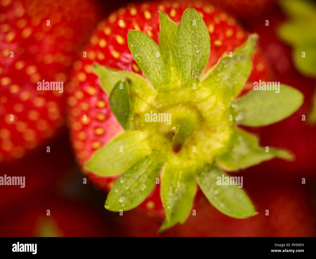 Strawberry food photograph Stock Photo - Alamy