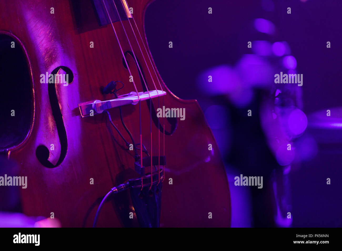 An acoustic double bass with a pickup microphone Stock Photo Alamy