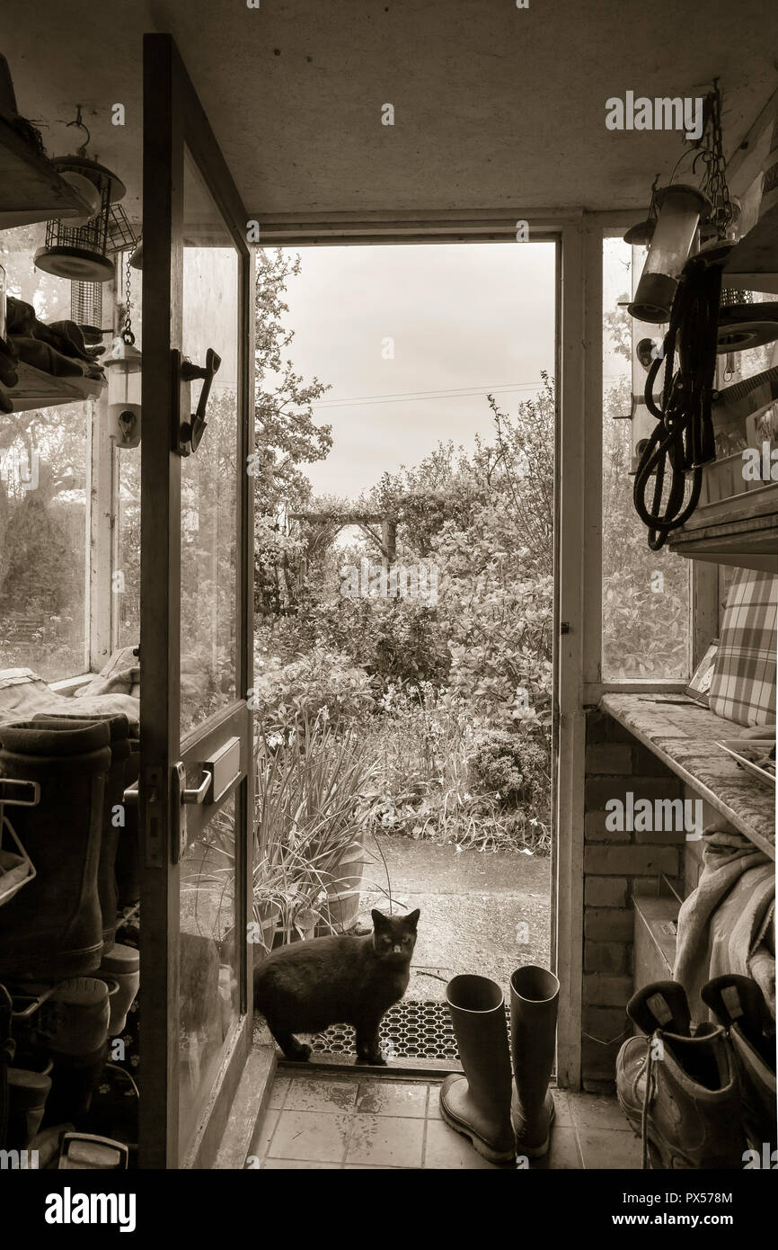 View from front porch into  garden with black cat waiting on step. Sepia toned. Stock Photo