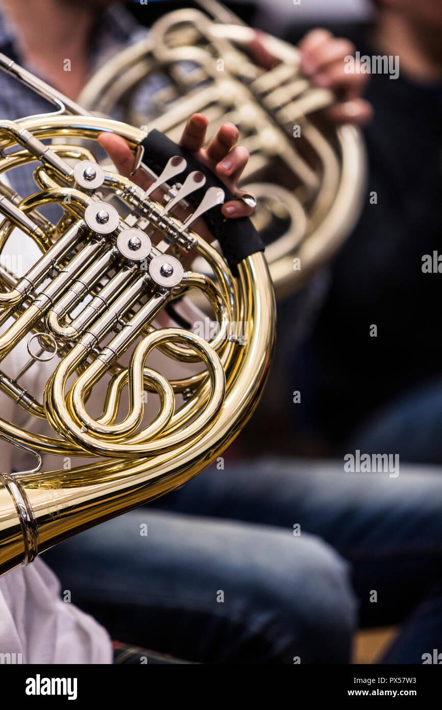 People playing the French horn Stock Photo - Alamy