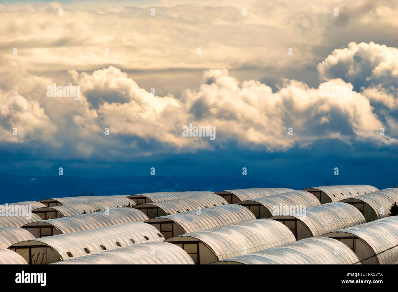 Rolling storm from the east approach rows of green houses. Stock Photo