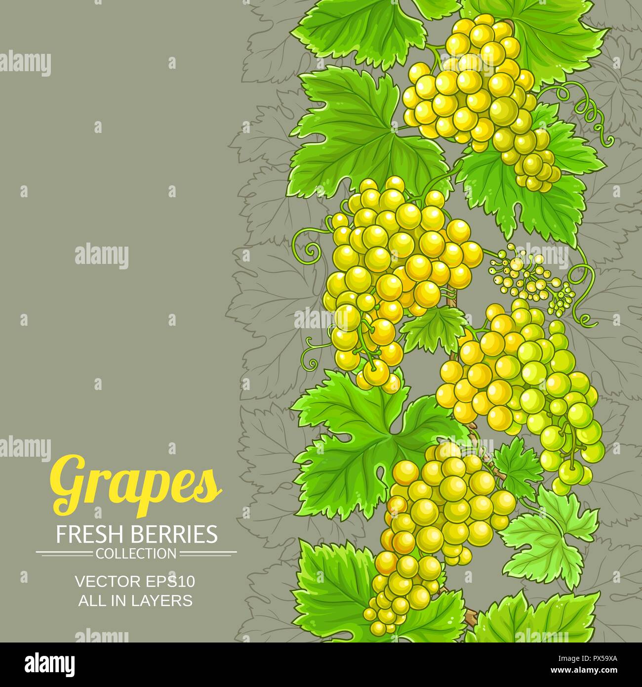 grapes vector pattern on color background Stock Vector