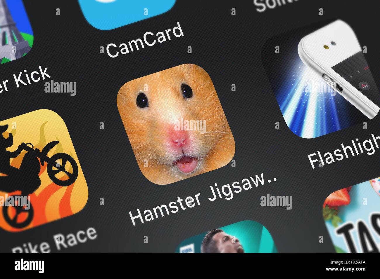 Hamster com mobile really. happens Hamster com mobile consider
