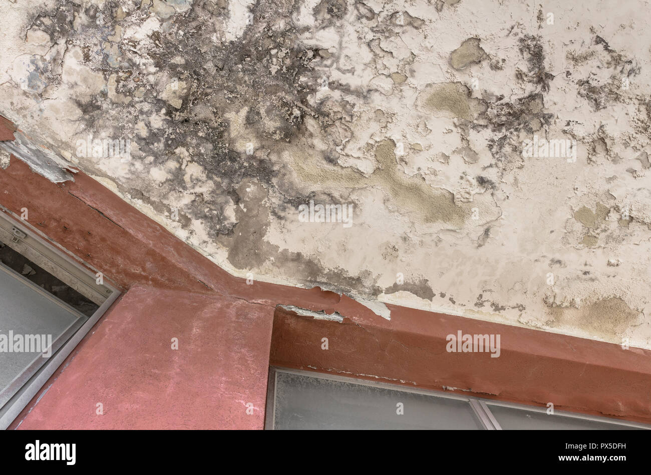 Black Mold Growth And Stains On The Ceiling Of An Abandoned Hotel