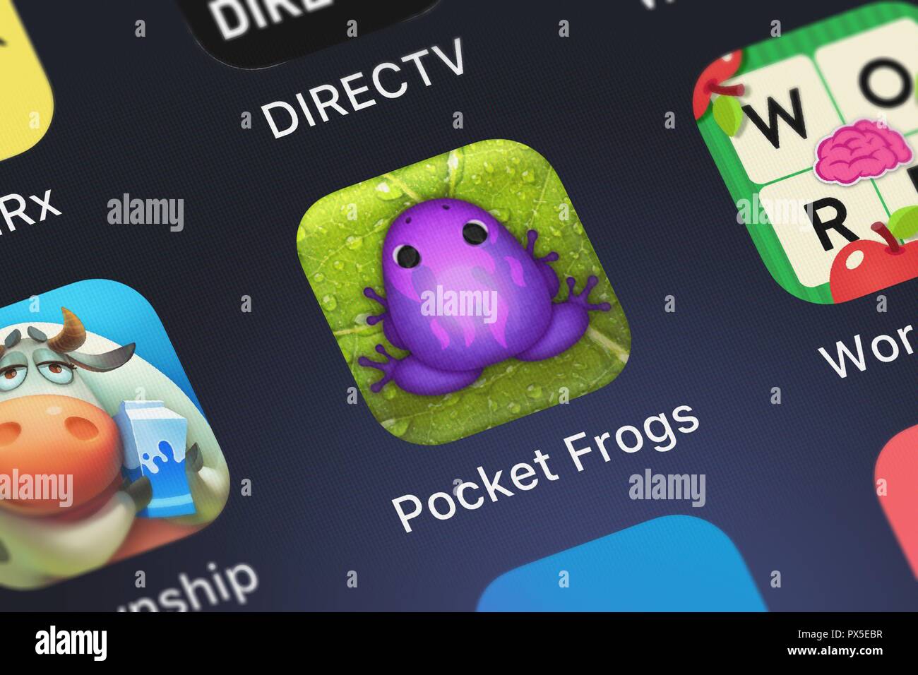 Pocket frogs hires stock photography and images Alamy