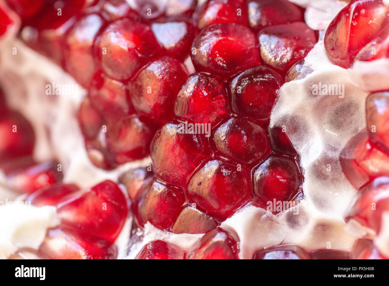 Pomegranate seeds close up Stock Photo
