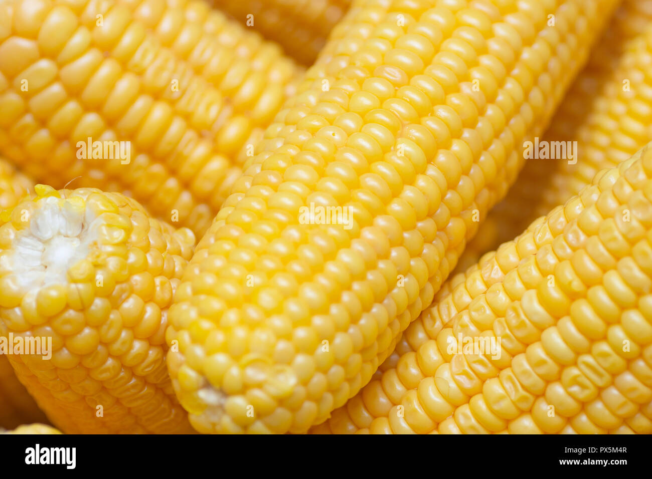 Fresh corn on cobs, closeup Stock Photo